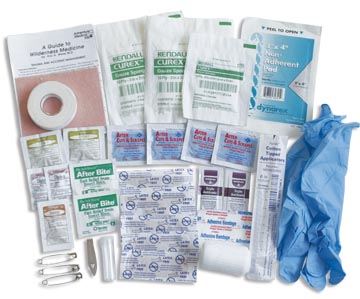 Travel Nurse Alaska: Basic First Aid: Online Guide to Emergency Medical ...